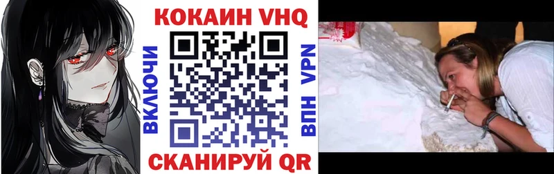 Cocaine Fish Scale  Купить закладки  Кисловодск