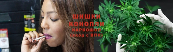 гидра Осинники