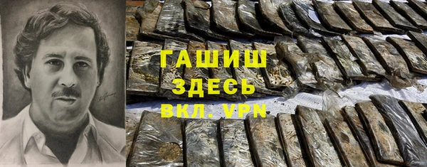 гидра Осинники