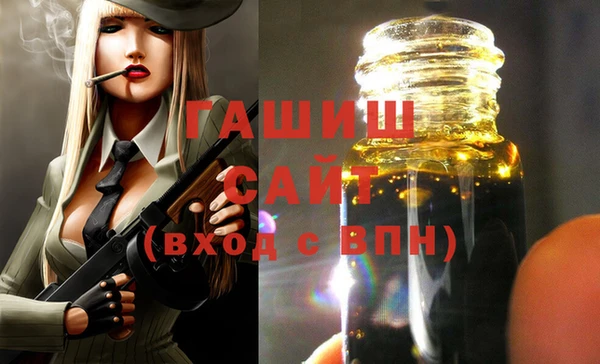 гидра Осинники